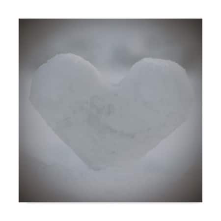 Christine Sainte-Laudy 'Heart Of Ice' Canvas Art,24x24